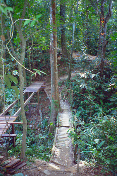 Taman Negara, Malaysia