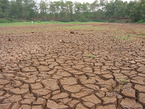 Dry season