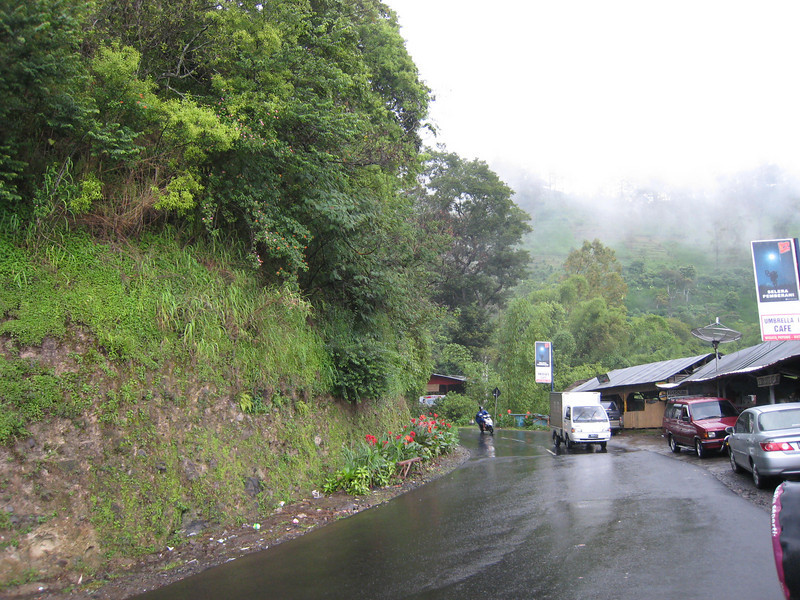 Road at Batu, near Malang