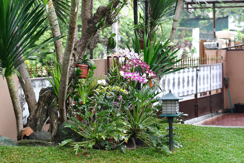 Garden, Cibubur residence