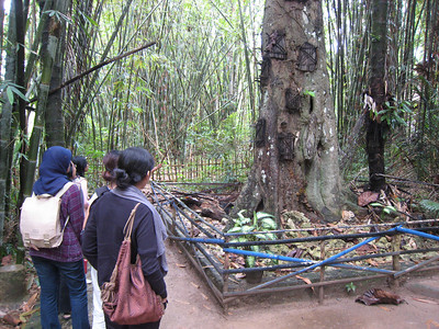 Tana Toraja burial site